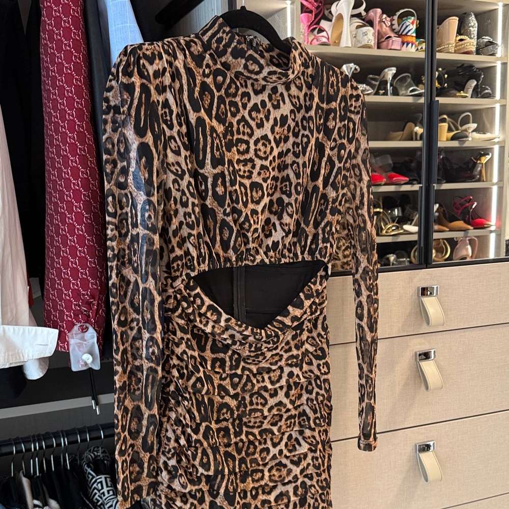 Chic Leopard Print Long Sleeve Dress